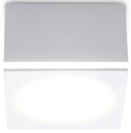 Фото Накладной светильник Ambrella Light TN TN266