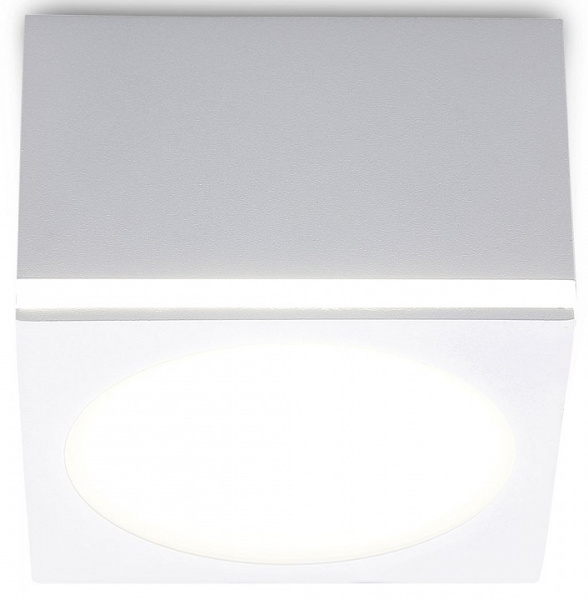 Фото Накладной светильник Ambrella Light TN TN266