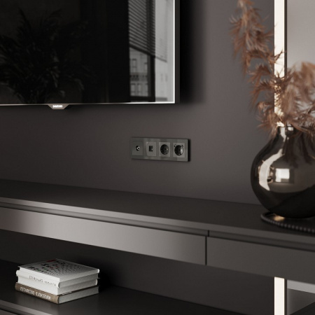 Фото ТВ-розетка без рамки Werkel графит акрил W1183044