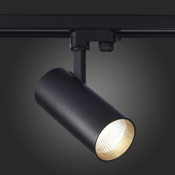 Фото Светильник на штанге ST-Luce ST661 ST661.436.40