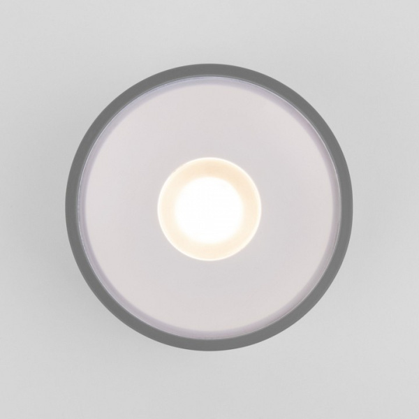 Фото Накладной светильник Elektrostandard Light LED a057472