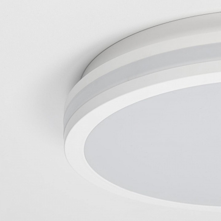 Фото Накладной светильник Citilux LUNS CL711020V