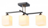 Люстра на штанге Ambrella Light TR TR303114 Люстра на штанге Ambrella Light TR TR303114