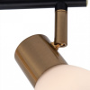 Открыть Спот Arte Lamp Falena A3117PL-2BK Фото Спот Arte Lamp Falena A3117PL-2BK