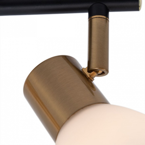 Открыть Спот Arte Lamp Falena A3117PL-2BK Фото Спот Arte Lamp Falena A3117PL-2BK