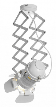 Фото Светильник на штанге Loft it Cinema LOFT3096-M