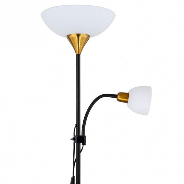 Фото Торшер с подсветкой Arte Lamp Duetto A9569PN-2BK
