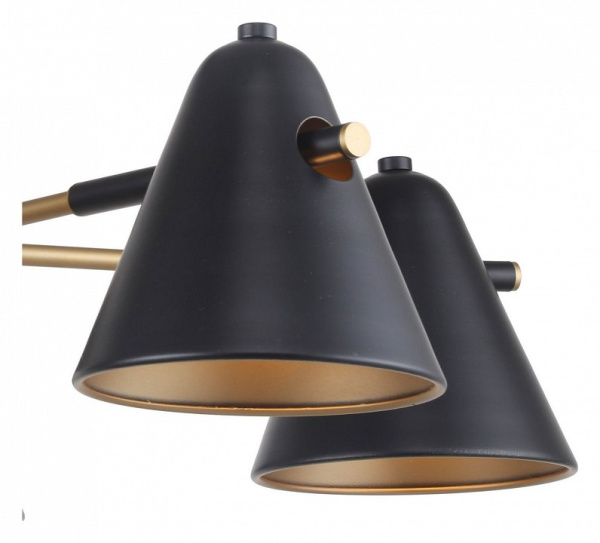 Фото Люстра на штанге F-promo Rigor 2844-5P