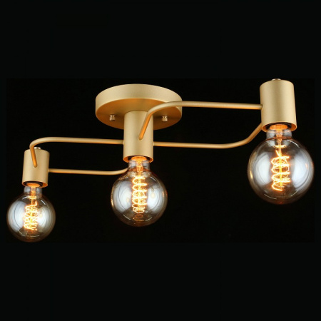 Фото Потолочная люстра Aployt Elison APL.911.07.03