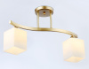 Открыть Светильник на штанге Ambrella Light TR TR303119 Фото Светильник на штанге Ambrella Light TR TR303119