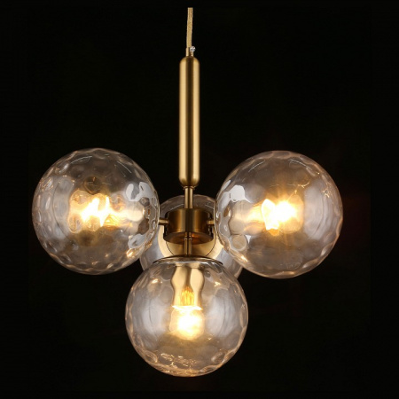 Фото Подвесная люстра Aployt Lora APL.728.06.04