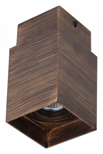 Фото Накладной светильник Favourite Retro 2794-1C