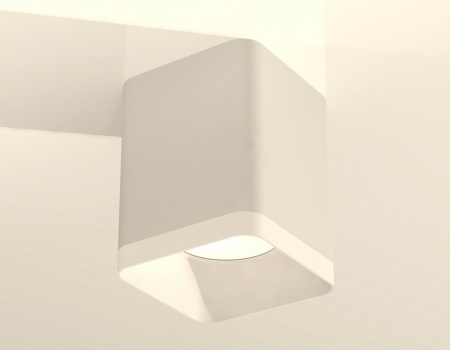 Фото Накладной светильник Ambrella Light XS XS7812021