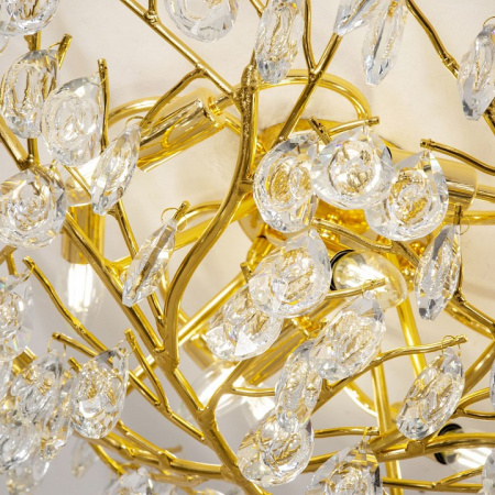 Фото Потолочная люстра Favourite Pluvia 4162-8C