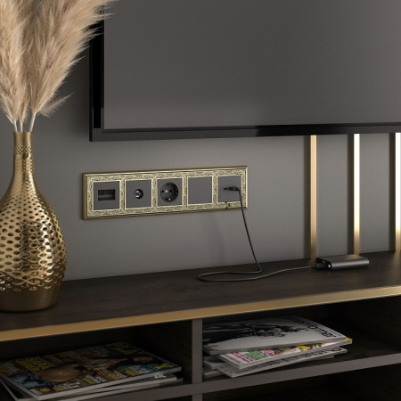 Фото ТВ-розетка проходная без рамки Werkel черные матовый W1184008