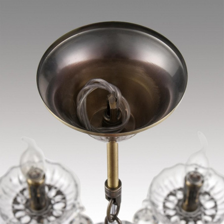 Фото Подвесная люстра Lumion Linn 8190/8