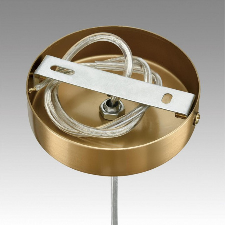 Фото Подвесной светильник Lumion Jane 6593/1