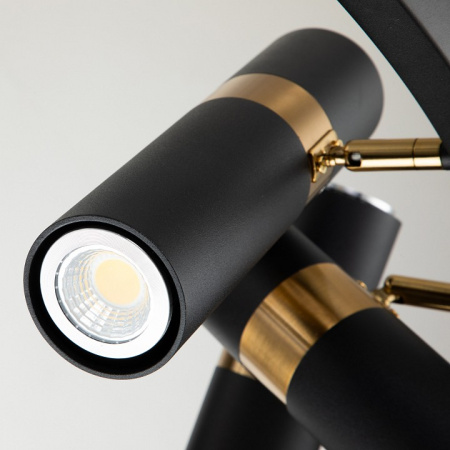 Фото Подвесная люстра Favourite Light point 2997-9P