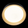 Открыть Накладной светильник Loft it Coin 10202 Black Фото Накладной светильник Loft it Coin 10202 Black