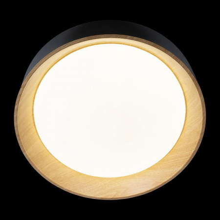 Открыть Накладной светильник Loft it Coin 10202 Black Фото Накладной светильник Loft it Coin 10202 Black