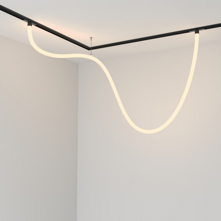 Фото Подвесной светильник Maytoni Tau TR101-2-50W3K-B