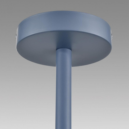 Фото Люстра на штанге Lumion Rosalina 8098/6C