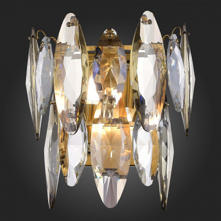 Фото Накладной светильник ST-Luce Ancona SL1227.301.02