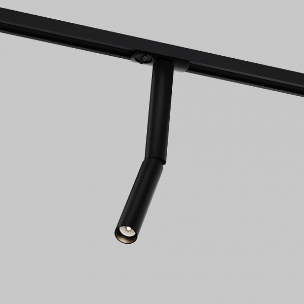 Фото Светильник на штанге Maytoni Focus T TR142-1-6W3K-B