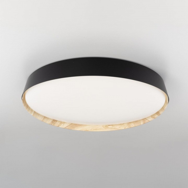 Фото Накладной светильник Citilux BONNY CL754451G