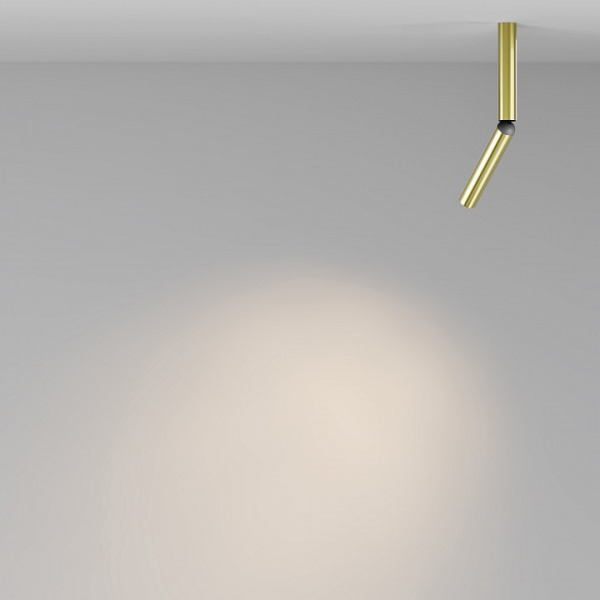 Фото Светильник на штанге Maytoni Focus T C142CL-6W3K-BS