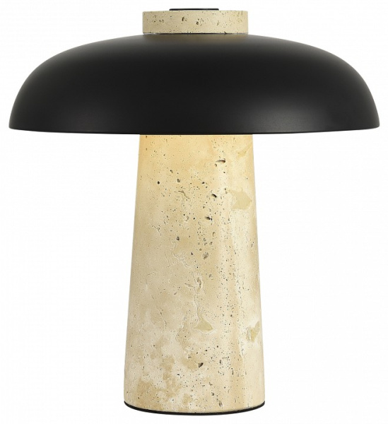 Фото Настольная лампа декоративная ST-Luce Earthy SL1194.424.01