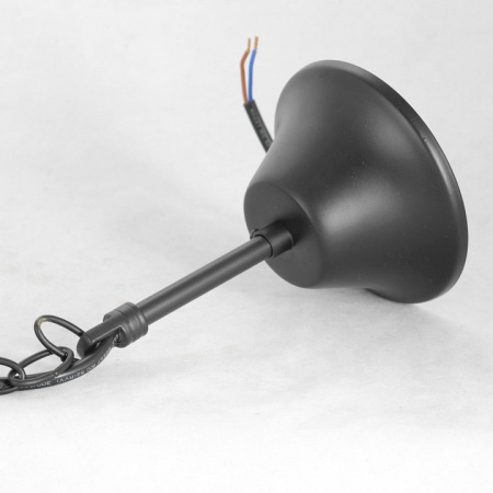 Фото Подвесная люстра Lussole Lattice 1 GRLSP-8216