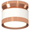 Накладной светильник Ambrella Light XS XS8101065 Накладной светильник Ambrella Light XS XS8101065