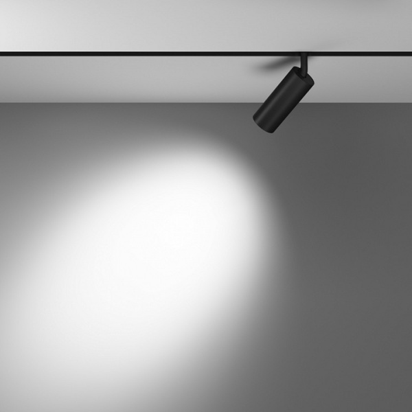 Фото Светильник на штанге Maytoni Focus LED TR032-4-12WTW-S-DD-B