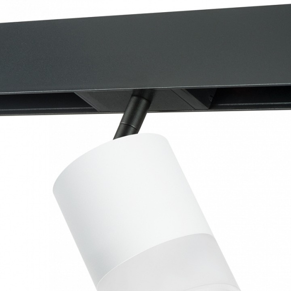 Фото Светильник на штанге Lightstar Rullo PRO348681