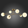 Открыть Потолочная люстра EVOLUCE Fantini SLE2211-302-06 Фото Потолочная люстра EVOLUCE Fantini SLE2211-302-06