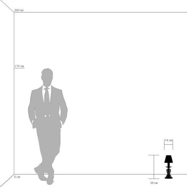 Фото Настольная лампа декоративная Lightstar Riccio 705912