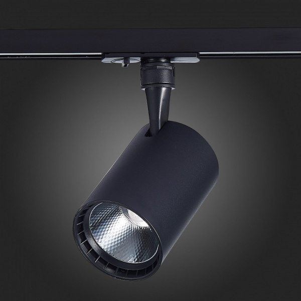 Фото Светильник на штанге ST-Luce Cami ST351.446.30.36