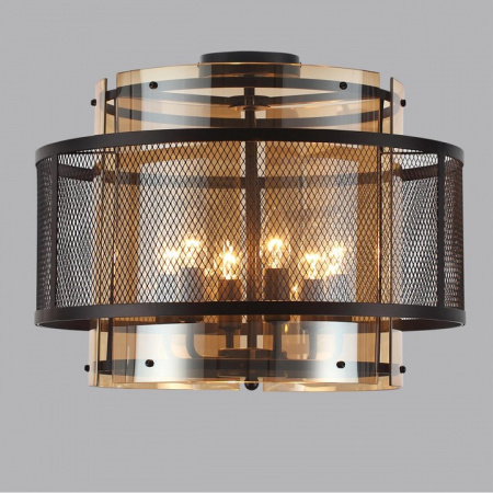 Фото Накладной светильник Lumion Zarina 8007/6C