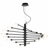 Фото Подвесная люстра Lightstar Ragno 733187