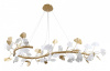 Фото Подвесная люстра Favourite Ginkoa 4080-8P