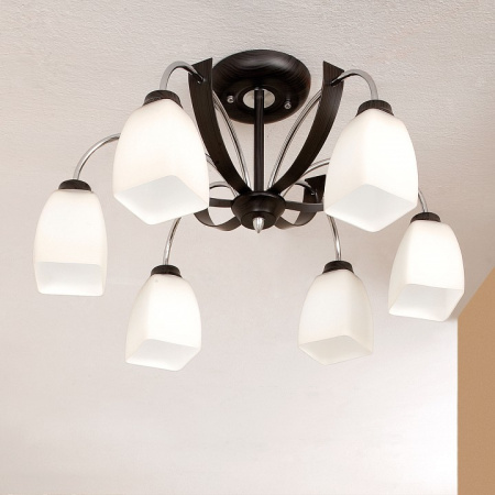 Фото Люстра на штанге Citilux Крокус CL128161