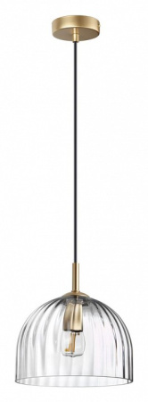 Фото Подвесной светильник Lumion Ellie 6551/1