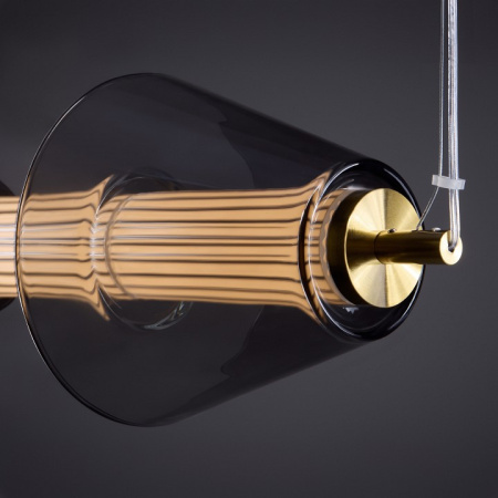 Фото Подвесной светильник Freya Plum FR6137PL-L21BT1