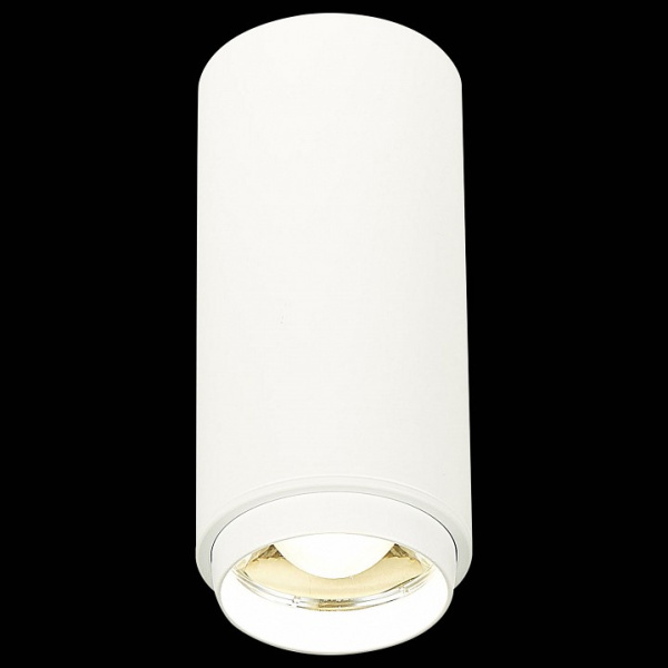 Фото Накладной светильник ST-Luce Zoom ST600.542.10