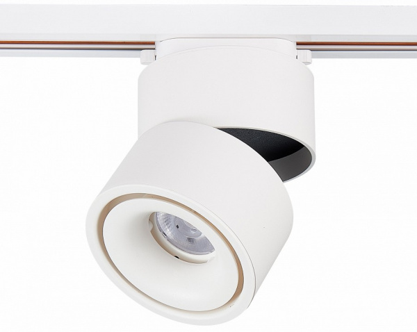 Фото Светильник на штанге ST-Luce ST652 ST652.546.12