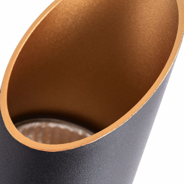 Фото Накладной светильник Arte Lamp Pilon-Gold A1537PL-1BK