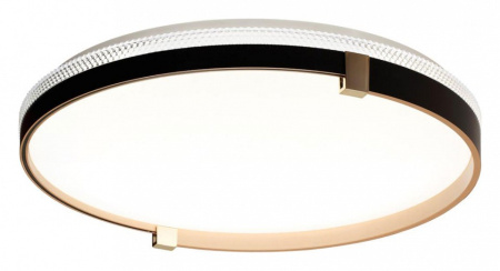 Фото Накладной светильник Sonex Olidi Black 7647/DL