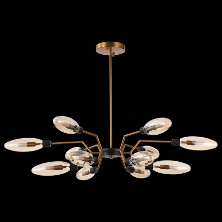 Фото Потолочная люстра ST-Luce Desima SL1174.303.12