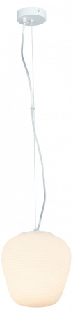 Фото Подвесной светильник Moderli Arden V11344-1P